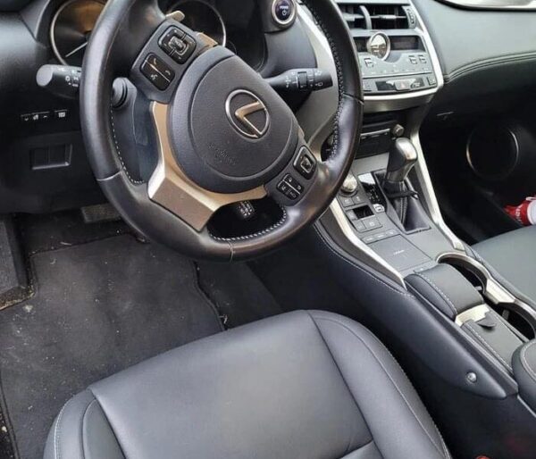 Lexus NX 300h Celebrating 30 E-Four Automatique