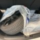 Hyundai i30 2.0 TGDI 2019